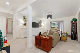 Downstairs Living room