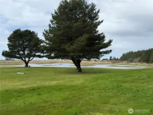 View to the west from patio