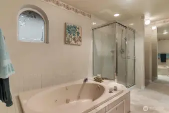 The large primary bathroom with jetted tub, step in shower, dual vanity and walk in closet.