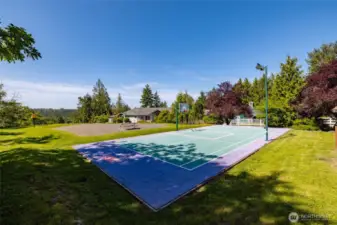 Sports court. Pickleball anyone?