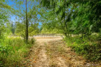 Trail from orchard leading into wooded areas.