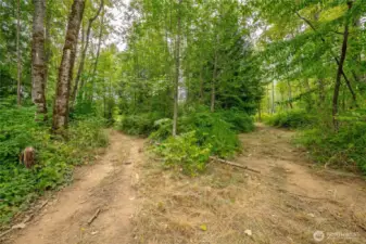 Lots of trails leading to different areas of the acreage. So much to explore!