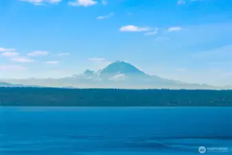 Mt. Rainier