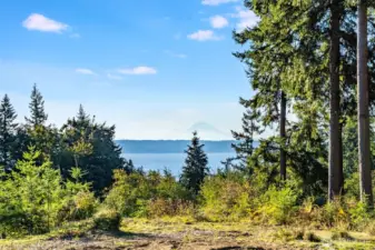 Mt Rainier Views - Southeastern view