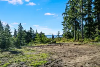 Mt Rainier Views - Southeastern view