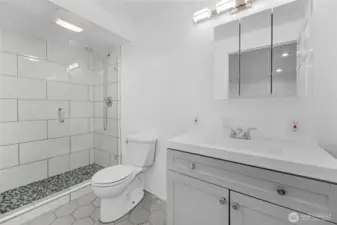 lower level bathroom
