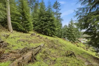 Terraced area up above, ideal for build site