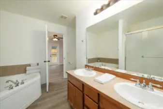 Main house: Primary bedroom ensuite with expansive walk-in-closet on main floor.