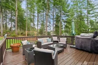 Awesome Deck with enough room for furniture and bbq!