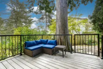 The deck is surrounded by mature landscaping