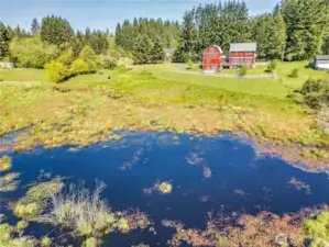 An iconic and special place, this could be your forever home!