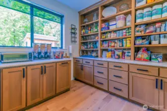 Not your typical pantry with vegetable bins and exta storage and outlets added