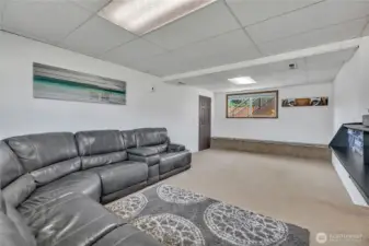 Downstairs family room with storage