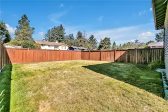 Large backyard