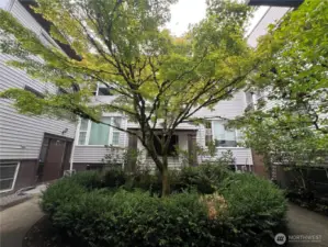 Adorable courtyard