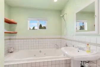 Main Level Bathroom