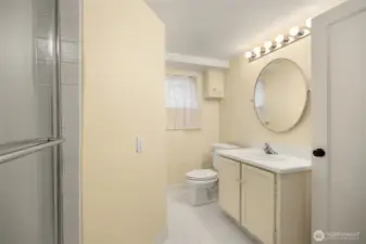 Lower level bathroom.