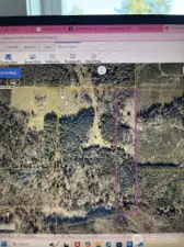 sketch showing property with purple lines