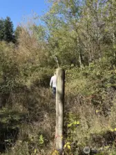 Mix of trees and open areas.