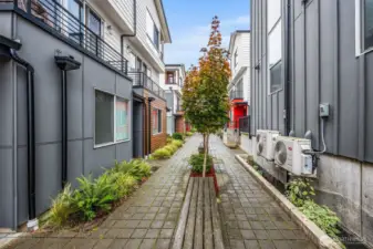 Neighborhood common sitting areas.
