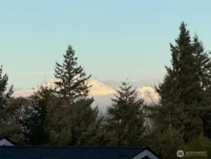 view from living room