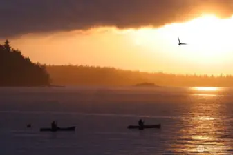 Seals, porpoises, eagles, whales at your doorstep