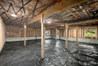 unfinished basement with great potential