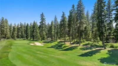 16th Hole of Prospector