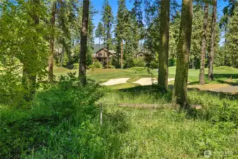 Ground level view of golf course