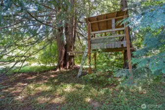 Tree house tucked into nature
