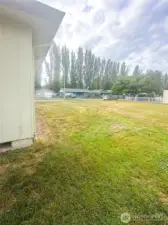 back yard