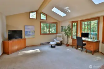 Vaulted ceilings and skylights.