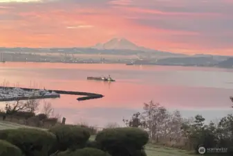 Mt Rainier is front and center, the Elliott Marina in the foreground. This is an unobstructed view is protected in perpetuity. Watch the world float, steam and fly by. This vista from the home features Seattle, Mt. Rainier, Elliott Bay and the Olympic mountains. Quintessential PNW lifestyle.  A quick stroll to the marina for the sailing or boating crowd.