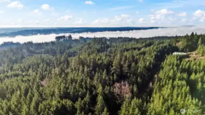 Trails throughout the neighborhood