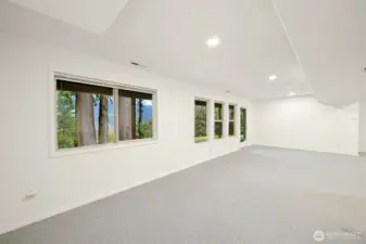 Family Room is a Walkout basement.