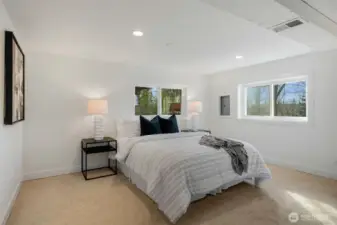 Lower level bedroom flex room