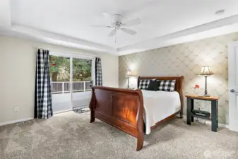 Large Main Bedroom