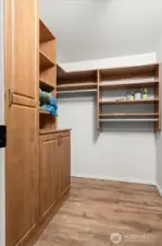 Large walk-in closet in 2nd bedroom with built-ins.