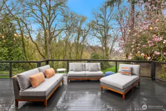 Clear deck railings make you feel like you're floating away in your own private outdoor oasis!