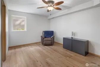 Downstairs Bonus Family Room