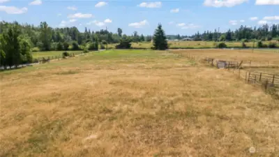 Wildflowers fill the pasture in the spring