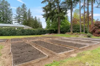 800 sq ft veg/flower garden beds