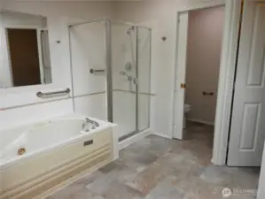 ... a fancy tub and a separate shower, separate throne room, plus a large walk in closet.