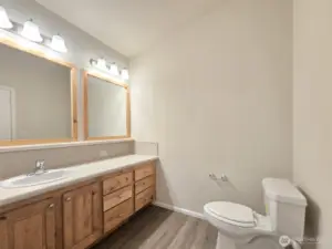 Guest bathroom