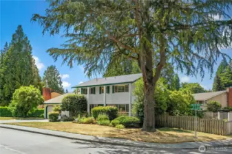 All roads end here! This home is in the geographic center of Bellevue, so getting everywhere is easy. You're between I-90 and 520, and moments from downtown Bellevue, Issaquah, and Redmond. Microsoft is just up the street!