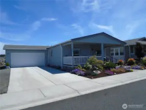 Cement Driveway