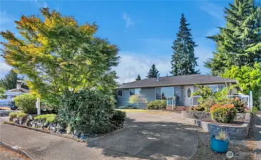 Landscaped front yard and circular driveway