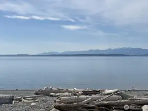 Puget Sound and the Olympic Mtns, sailboats, big ships, sea life, sunsets and more ...