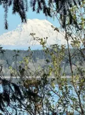 Sound View and Rainier1