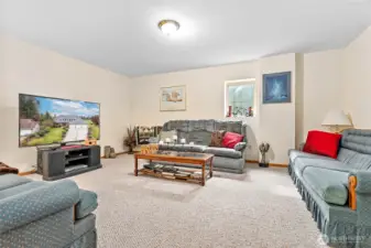 Yet another living room off rec room in basement